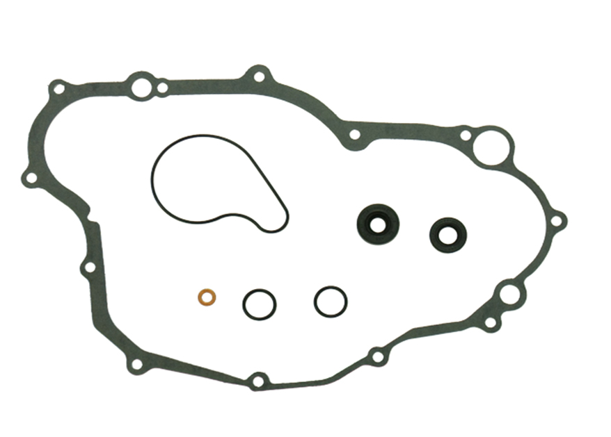 Water pump repair kit PSYCHIC MX-10219
