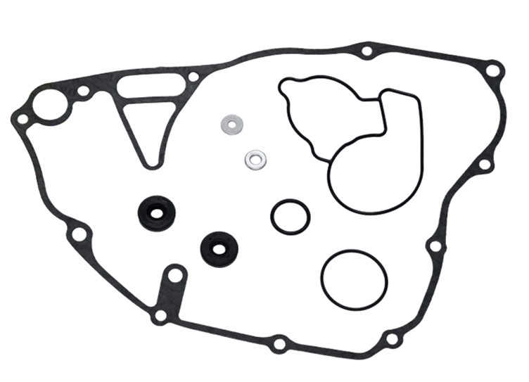 Water pump repair kit PSYCHIC MX-10225