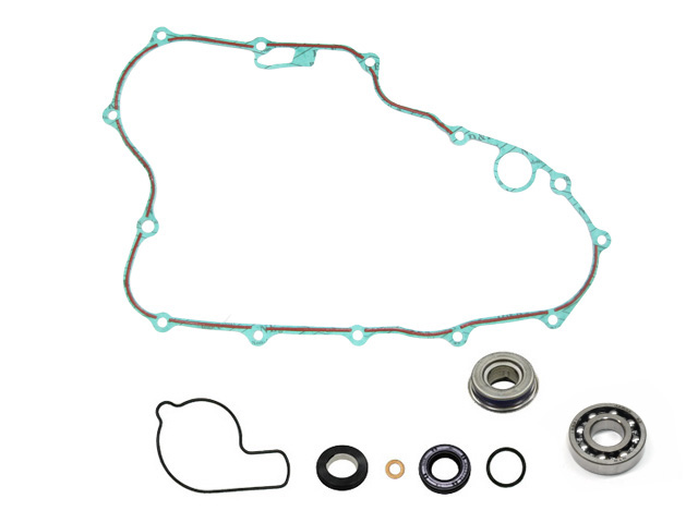 Water pump repair kit PSYCHIC MX-10231