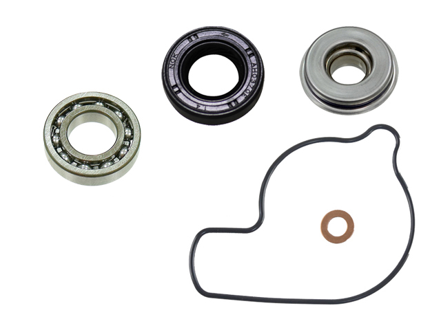 Water pump repair kit PSYCHIC MX-10244