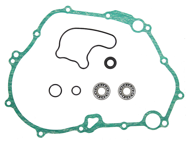 Water pump repair kit PSYCHIC MX-10251