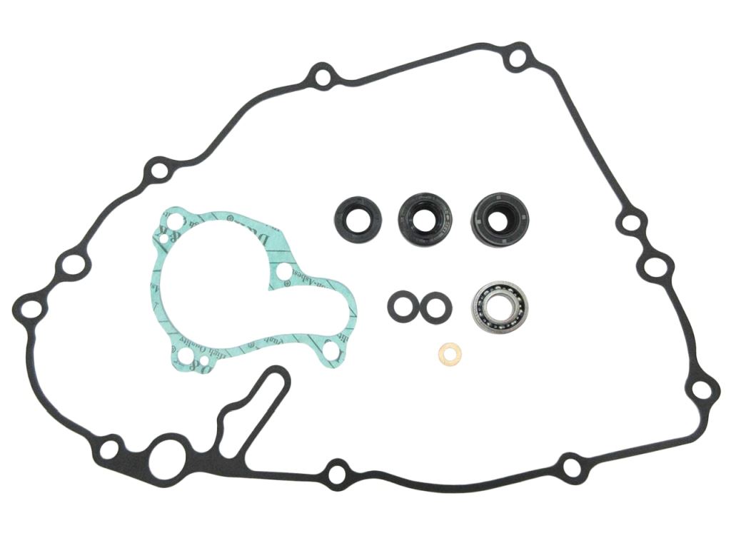 Water pump repair kit PSYCHIC MX-10262