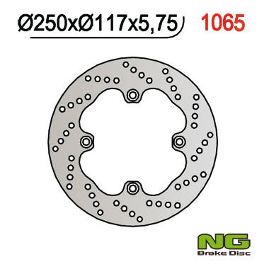 Brake disc NG brakes NG1065