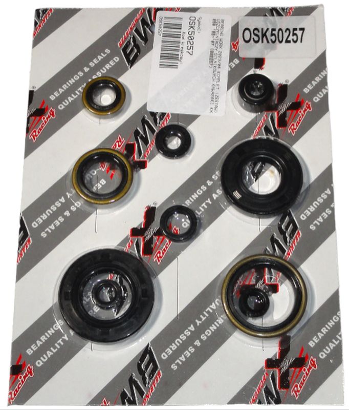Engine bearing kit BEARING WORX OSK50257