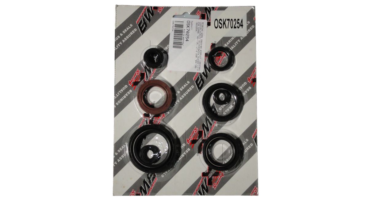 Engine bearing kit BEARING WORX OSK70254