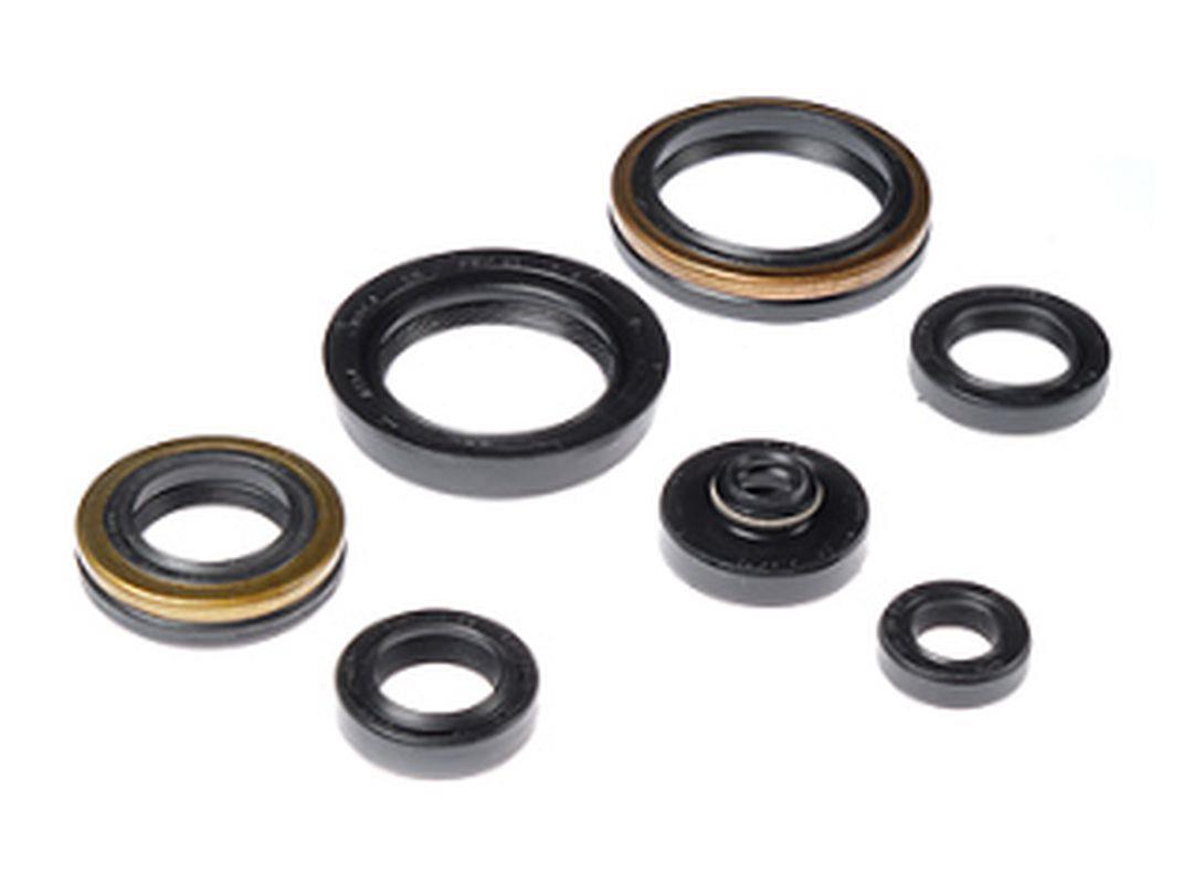 Engine bearing kit BEARING WORX OSK70266