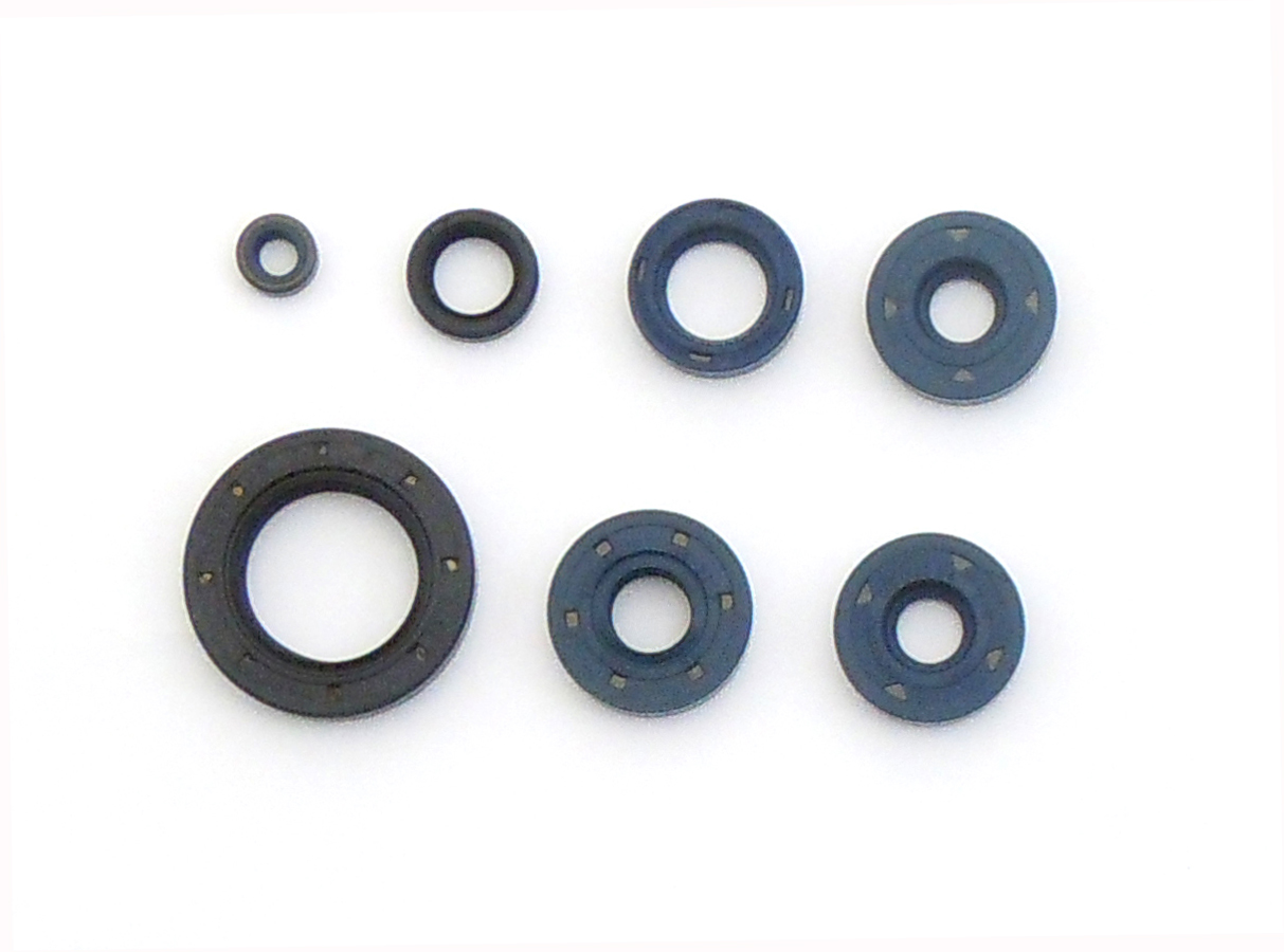 ATHENA sada gufer motoru BMW F650 GS 99-08, F650/ST 93-98, F650 CS, G650 GS/X, BOMBARDIER DS 650 00