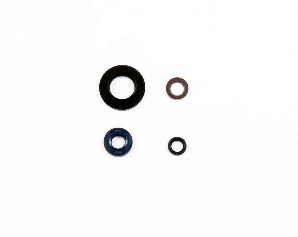 ATHENA sada gufer motoru HONDA XR 650L 13-19