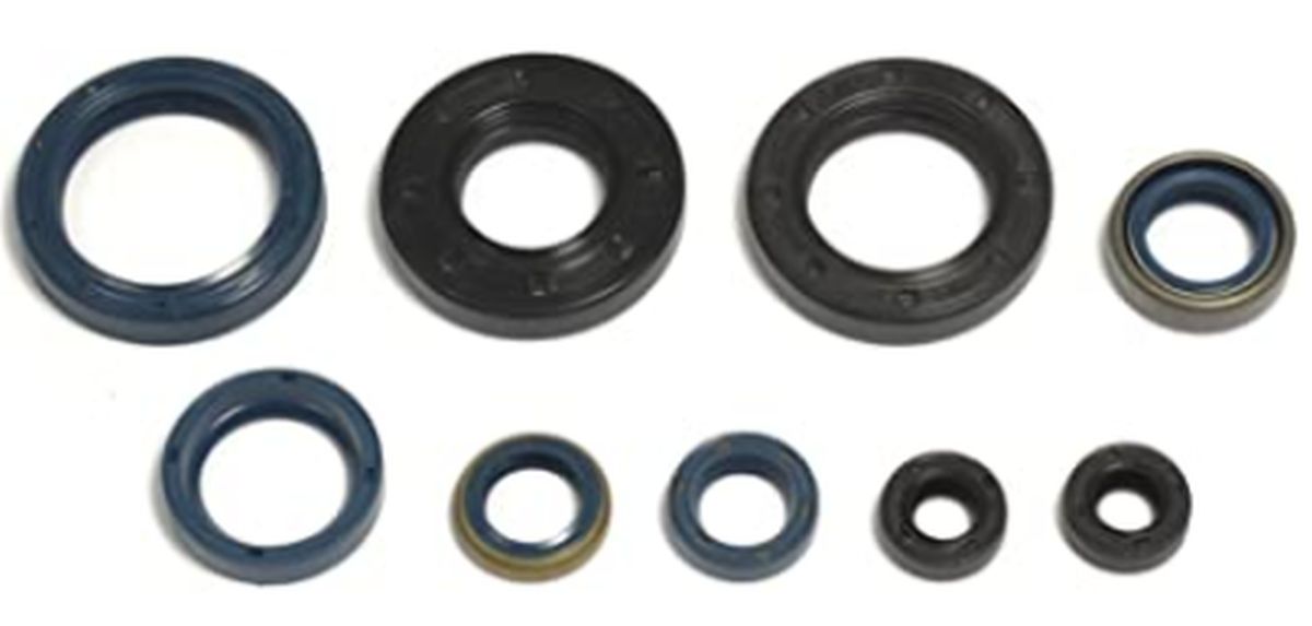 Levně ATHENA sada gufer motoru HUSQVARNA WR 250 92-98, WR 360 92-99, CR 250 91-96 (ATHENA sada gufer motoru HUSQVARNA WR 250 92-98, WR 360 92-99, CR 250)