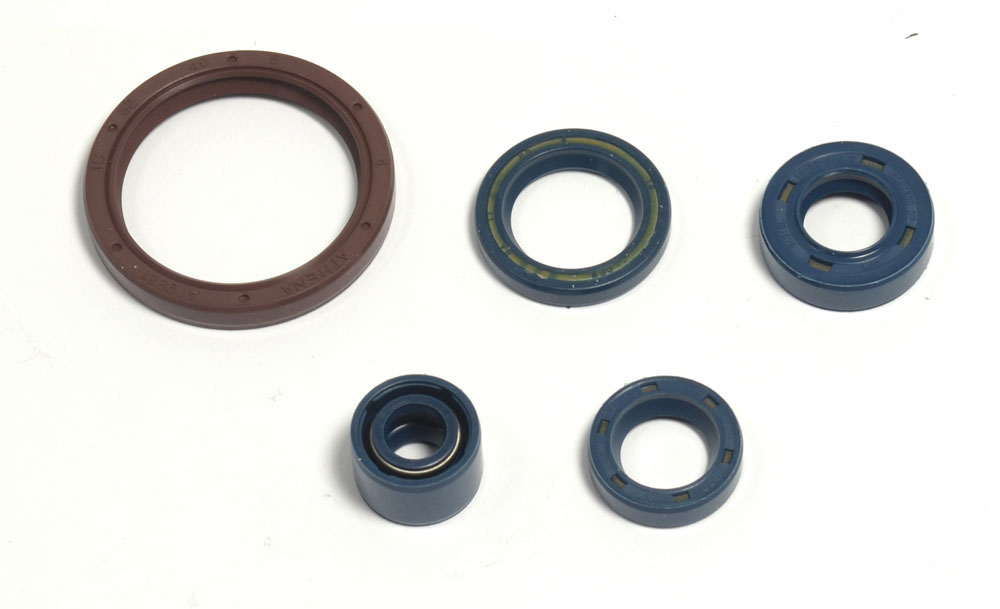 Levně ATHENA sada gufer motoru HUSQVARNA TE 250 03-09, TE 310 09-10, TE 450/510 03-10, TC 250/310/450 (ATHENA sada gufer motoru HUSQVARNA TE 250 03-09, TE)