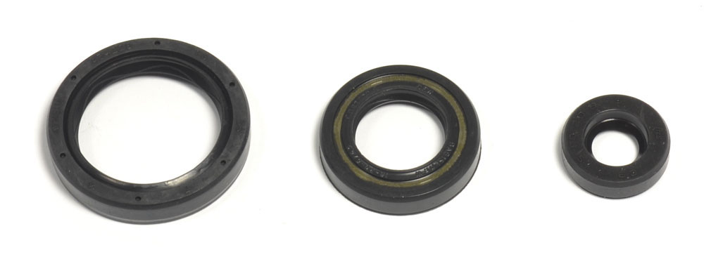 Levně ATHENA sada gufer motoru HUSQVARNA TE/TC 250 10-14, TE/TXC 310 11-14 (ATHENA sada gufer motoru HUSQVARNA TE/TC 250 10-14, TE/TXC 310 11-14)