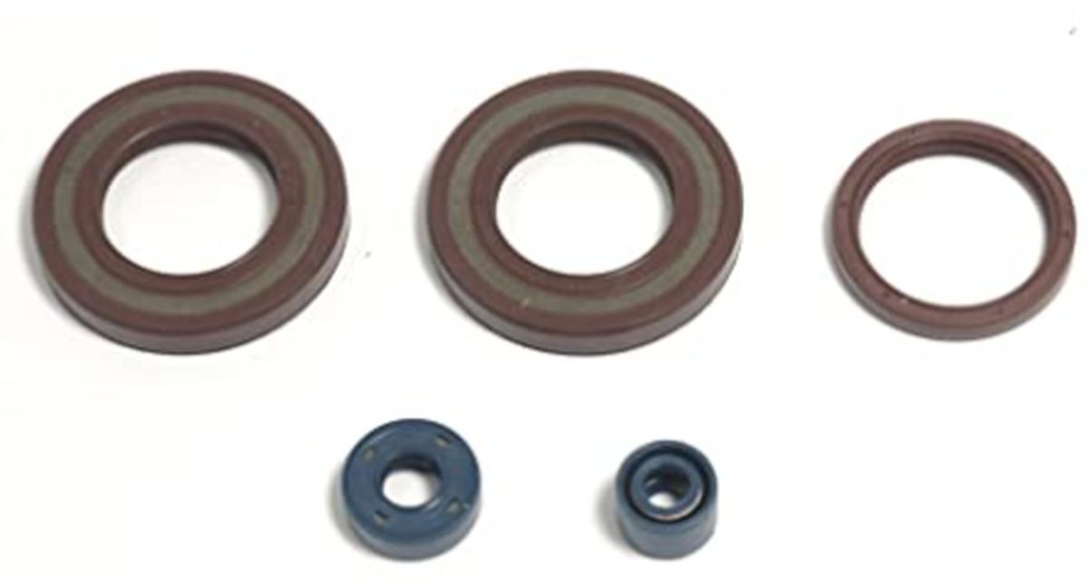Levně ATHENA sada gufer motoru HUSQVARNA TE 350 90-95, TE 400/410 96-04, TE 510 89-91, TE 570 1-04, TE 610 90-06 (ATHENA sada gufer motoru HUSQVARNA TE 350)