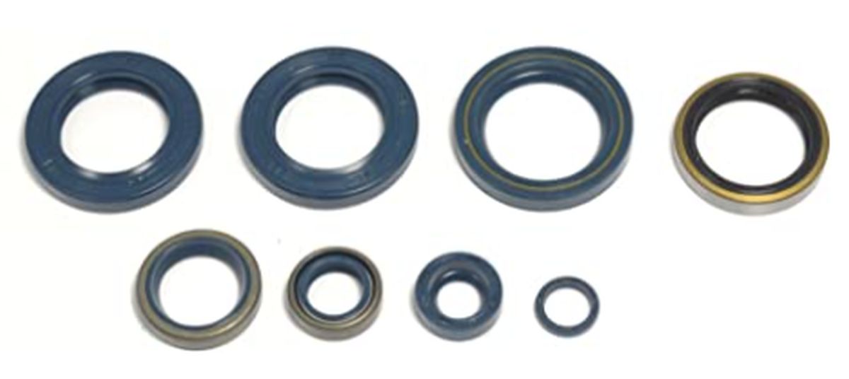 Levně ATHENA sada gufer motoru KAWASAKI KLX 250 93-98 (ATHENA sada gufer motoru KAWASAKI KLX 250 93-98)