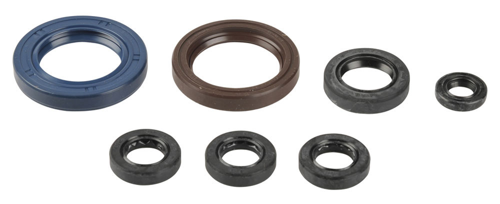 Levně ATHENA sada gufer motoru KTM EXC 250/400/450/520/525 00-06, SXF 400/450/520/525 00-06 (ATHENA sada gufer motoru KTM EXC 250/400/450/520/525 00-06,)