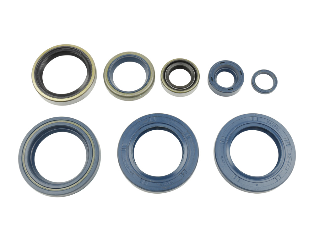 Levně ATHENA sada gufer motoru KTM LC4 625/640/660`03-07 (ATHENA sada gufer motoru KTM LC4 625/640/660`03-07)