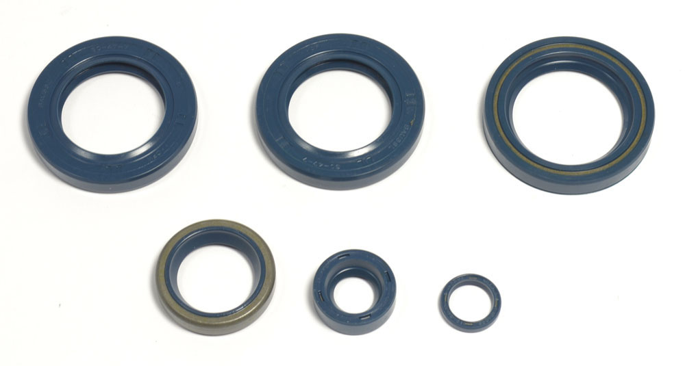 Levně ATHENA sada gufer motoru KTM LC4 EGS400/620`96-98, LC4-E400`98-02, LC4 620`96-01 (ATHENA sada gufer motoru KTM LC4 EGS400/620`96-98, LC4-E400`98-02,)