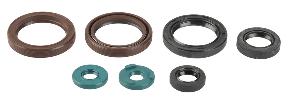 Levně ATHENA sada gufer motoru KTM EXCF400/450/530`09-11 (ATHENA sada gufer motoru KTM EXCF400/450/530`09-11)