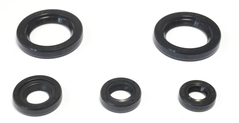 ATHENA sada gufer motoru KTM DUKE 125 11-16, DUKE 200 12-16, RC 200 15-16