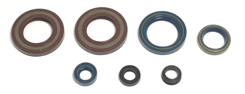 Levně ATHENA sada gufer motoru KTM LC4 350/400/600`87-94, DUKE620`94-98, EGS620`94-98 (ATHENA sada gufer motoru KTM LC4 350/400/600`87-94, DUKE620`94-98,)