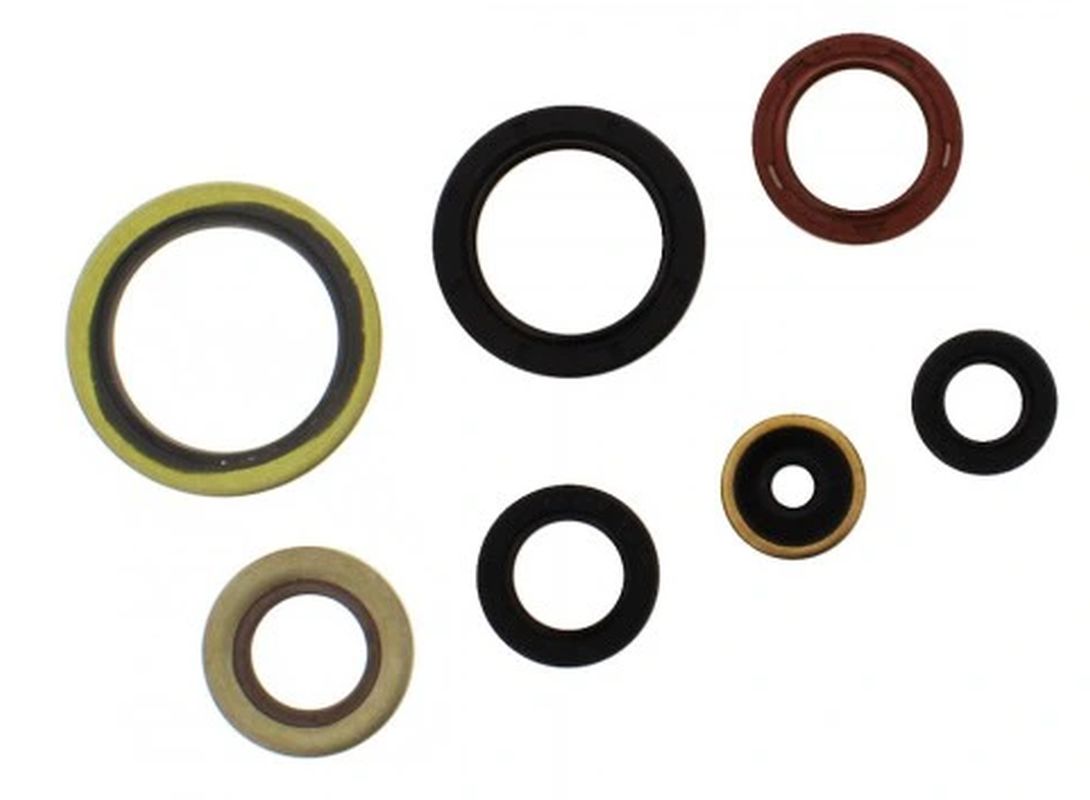Levně ATHENA sada gufer motoru GAS GAS EC 2T 250 / 300 21-26, KTM EXC 250 / 300 17-26, EXC 250 TPI 18-26, SX 250 17-26, HUSQVARNA TE 250 / 300 17-26