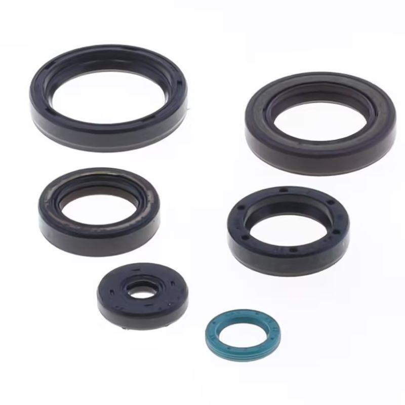 ATHENA engine bearing kit tm en / mx 250 / 300 15-18 (P400465400010)