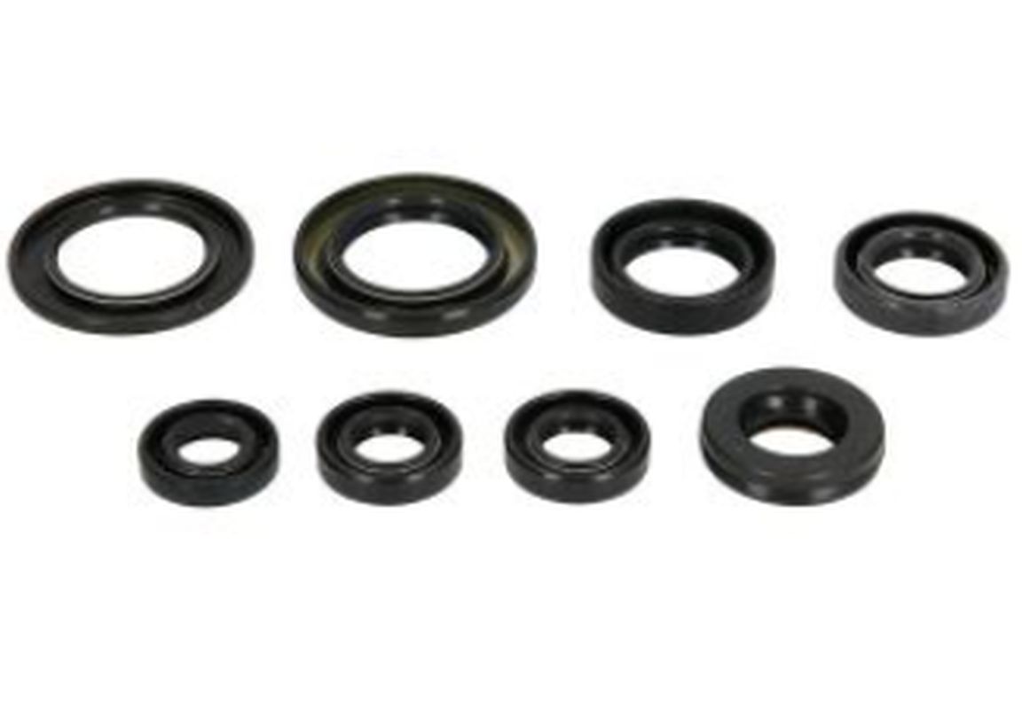 ATHENA sada gufer motoru YAMAHA XT600E/Z/K 90-95