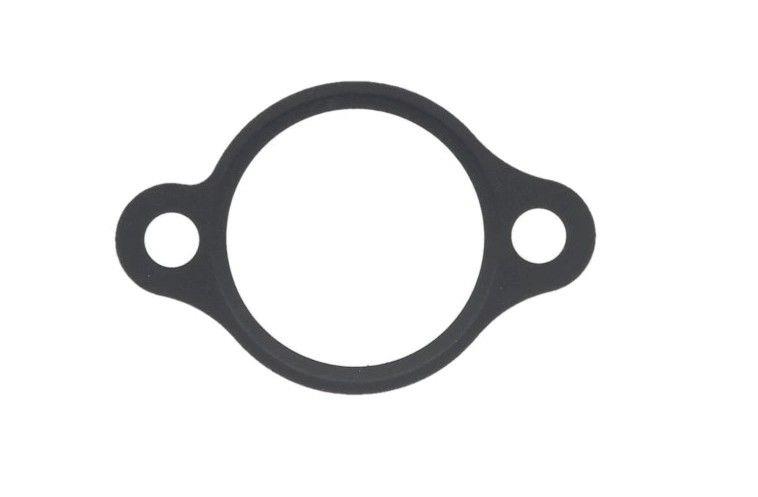 Timing chain tensioner seal ATHENA S410210078011