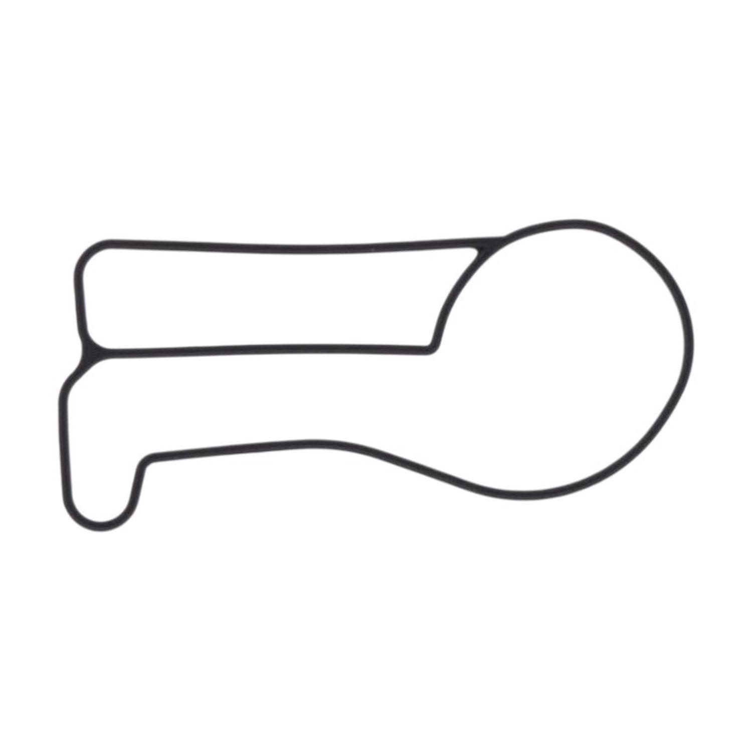 ATHENA 2026/01 těsnění vodní pumpy KTM EXC/SX/XC/XC-W 250/300 17-19 ( 55435053000 ) (ATHENA 2026/01 těsnění vodní pumpy KTM EXC/SX/XC/XC-W 250/300)