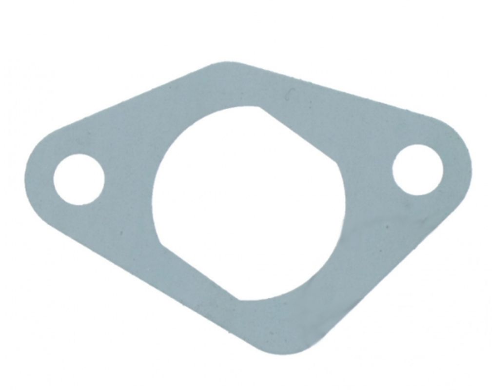 Timing chain tensioner seal ATHENA S410485078009