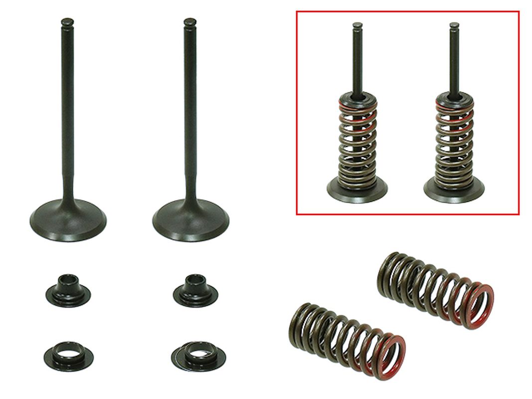 PSYCHIC sací ventily (sada 2 ks ventilů s pružinami a podložkami) HONDA CRF 250 R '10-'15 ocelové (21,5X13,5X5,5MM) (XU-09523IK)