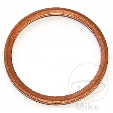 Elring těsnění měď ID 20X24X1.5 BMW R 850 R  ABS GUSSRAD 98-02, R 850 R  ABS LITÁ KOLA 98-02, R 850 R  GUSSRAD 95-02, R 850 R  KOLO S VÝPLETEM 95-02, R 850 R  LITÁ KOLA 95-02, R 850 R  SPEICHENRAD 95-02, R 850 GS 98-99...