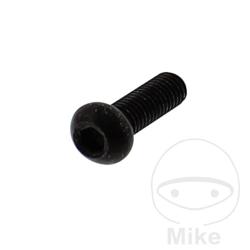 Levně Originální díl šroub brzdového kotouče YAMAHA FZ 750 85-86, TDM 850 99, VMX-12 1200 VMAX 99-02, XJ 600 SH DIVERSION 4BRA 97, XJ 600 SH DIVERSION