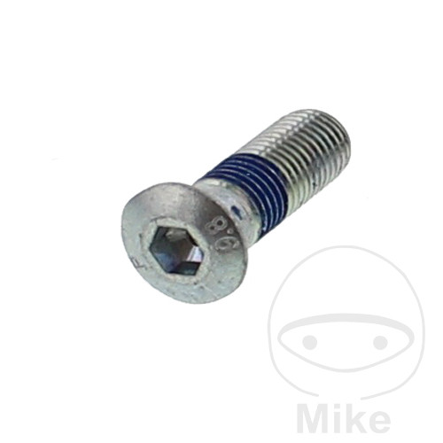 Šroub Brzdový kotouč originální díl M10 x 1.25X30 mm
