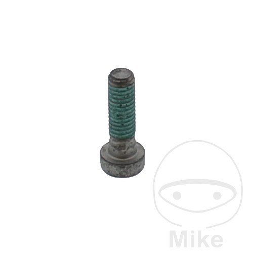 Levně Originální díl šroub brzdového kotouče BMW F 650 650 GS 00-08, F 650 650 GS ABS 00-08, F 650 650 GS DAKAR 00-08, F 650 650 GS DAKAR ABS 02-08, F 650