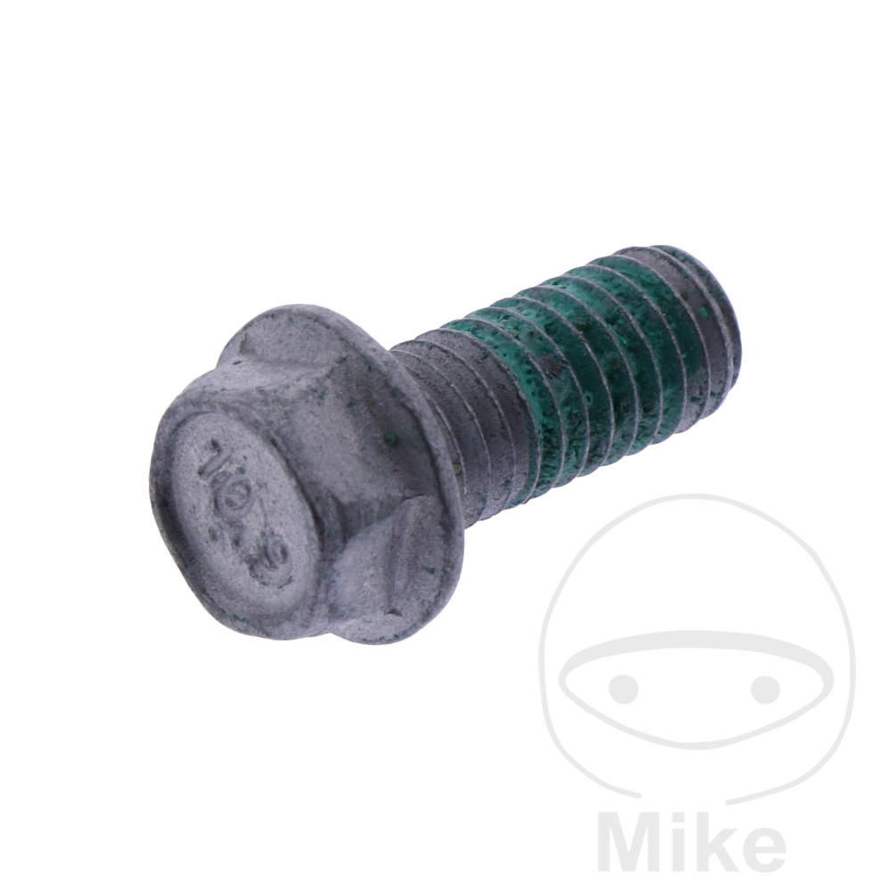 Levně Originální díl šroub Brzdový kotouč BETA REV3 270 2T 01, RR 125 LC 2T ENDURO 18-24, RR 125 LC 2T RACING 19-24, RR 125 LC 2T X-PRO 25, RR 200 LC 2T