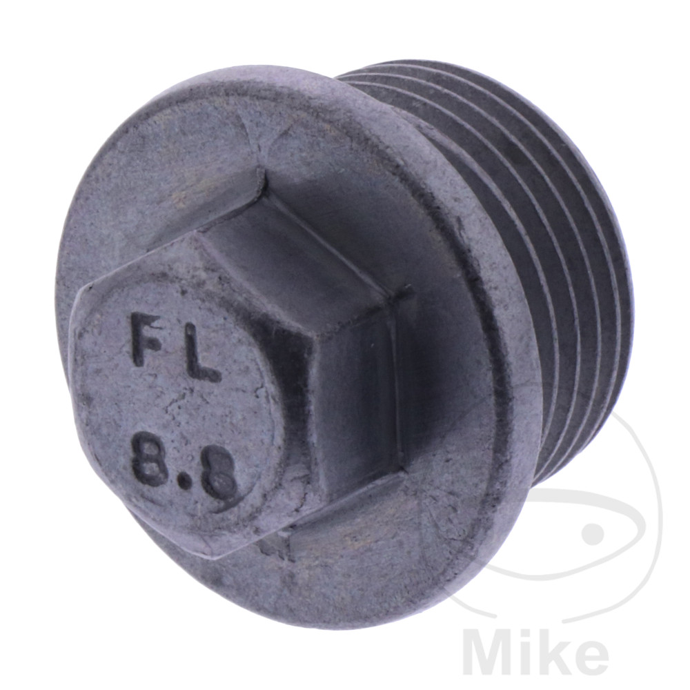 Originální díl šroub uzávěr GAS GAS EC 250 F 21-25, GAS EC 350 F 21-26, GAS EC 450 F 24-25, GAS EC 500 F 24-26, GAS ES 700  ABS 22-25, GAS MC 250 F 21-25, GAS MC 250 F FACTORY EDITION 25...