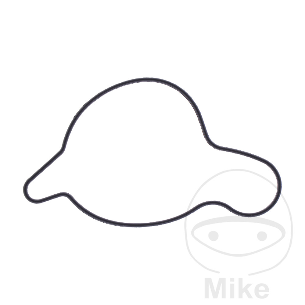 Levně Originální díl těsnění Čerpadlo chladící kapaliny víko BETA RR 350 4T ENDURO 11-14, RR 350 EFI ENDURO 15-19, RR 350 4T FACTORY 12-14, RR 350 4T RACING