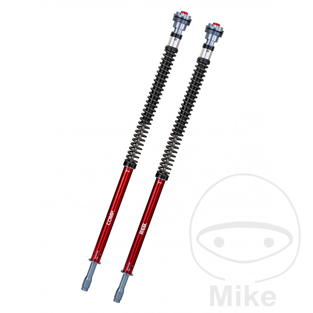Levně YSS cartrige kit Tlumiče YSS ON Road Z1 70-90KG BMW F 800 800 GS ABS 14-17, F 800 800 GS ADVENTURE ABS 13-18, F 800 800 GS ABS ESA 17, F 800 800 GS