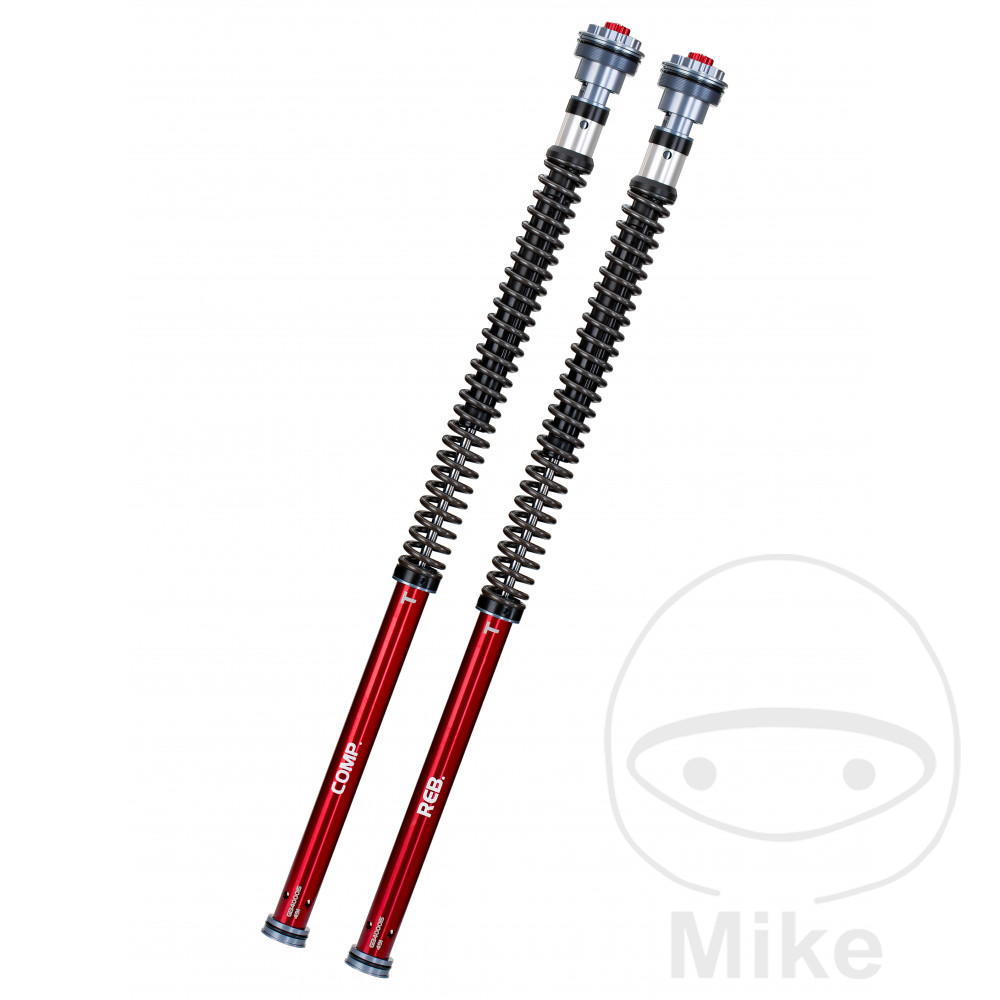 YSS cartrige kit Tlumiče YSS ON/Off Road Z1 70-90KG BMW F 900 900 XR ABS 20-24, F 900 900 XR ABS DTC 21-24, F 900 900 XR ABS DTC ESA 21-24, F 900 900 XR ABS ESA 20-24, F 900 900 XR ABS A2 20-24, F 900 900 XR ABS DTC A2 21-24, F 900 900 XR ABS DTC E