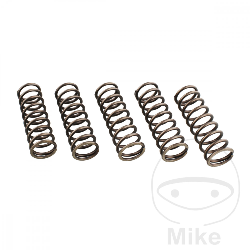 Levně EBC spojkové pružiny zesílené EBC Obsahuje 6 kusů BMW F 650 650 GS 07-08, F 650 650 GS ABS 07-08, F 650 650 GS DAKAR 07-08, F 650 650 GS DAKAR ABS