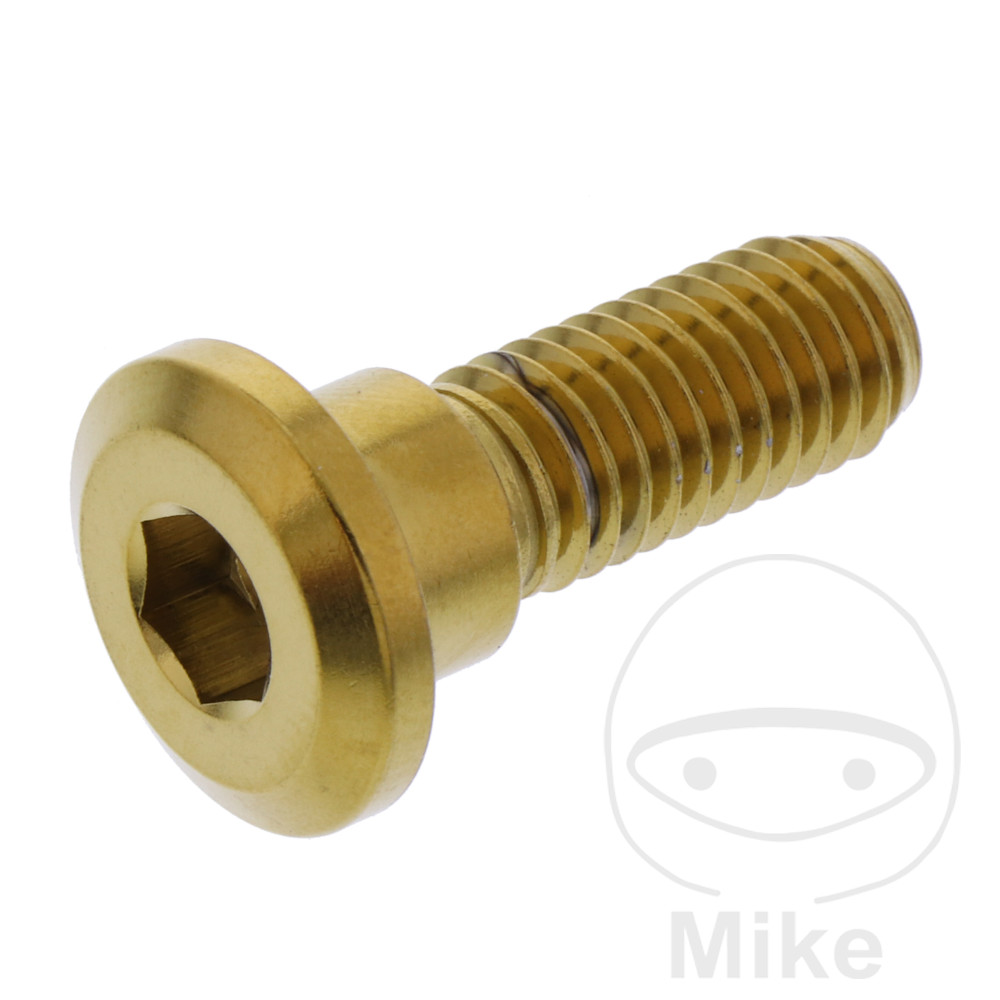 JMP brake disc bolts M8X1.25 mm 24 mm stainless V4A gold HONDA ADV 350 A ABS 22-24, AFS 110 2SH I WAVE 12-14, AFS 110 CSF I WAVE 15-16, ANF 125 INNOVA 03-12, CB 125 F (GLR125) 15-16, CB 125 F (GLR125WH) CBS 17-20, CB 125 R NEO SPORTS CAFE (CBF125NA) ABS 1