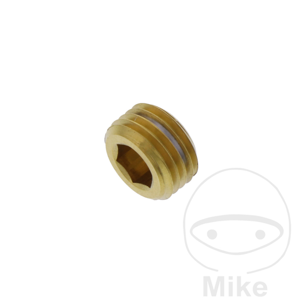 JMP zarážka kolíku nerez V4A zlatý HONDA CB 600 F HORNET 98-12, CB 600 S F2 HORNET S 00-03, CB 600 FA HORNET ABS 07-12, CB 900 F HORNET 02-06, CBR 600 F 98-02, CBR 600 FR ROSSI 01-02, CBR 600 FS SPORT 01-02...