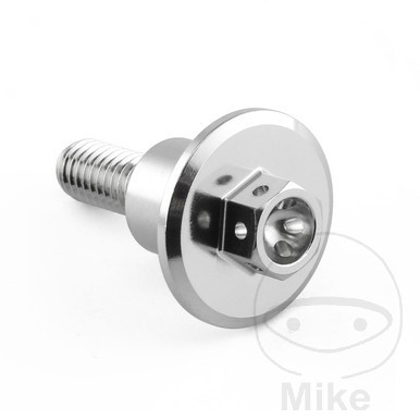 Levně Probolt šroub ventilového víka M6X1MMX24MM Edelstahl V4A TRIUMPH ADVENTURER 900 96-01, AMERICA 865 07, AMERICA 865 EFI 08-17, AMERICA 865 LT EFI