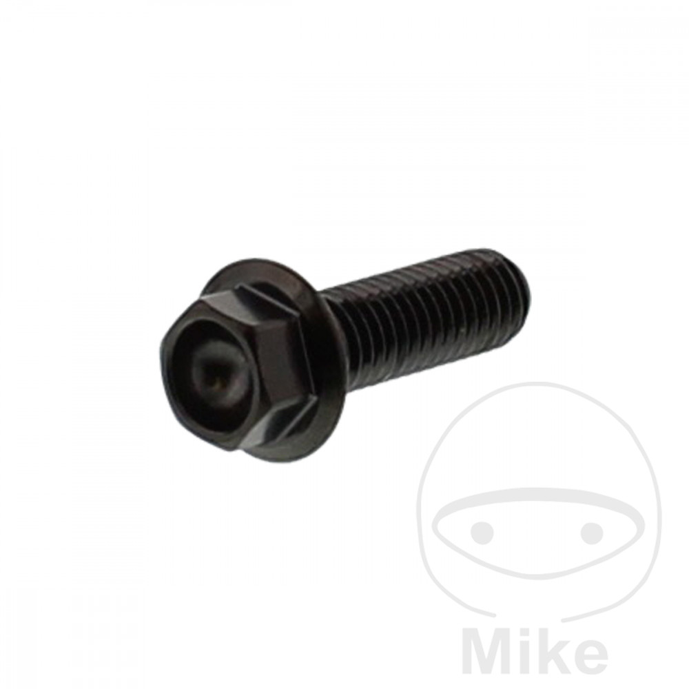 Levně JMP šroub šestihranný M8X1.25 25 mm nerez V4A černý APRILIA AMICO 50 GL 96-99, AREA 51 50 LC 98, AREA 51 50 LC KAT 99-02, AREA 51 50 LC SBK KAT