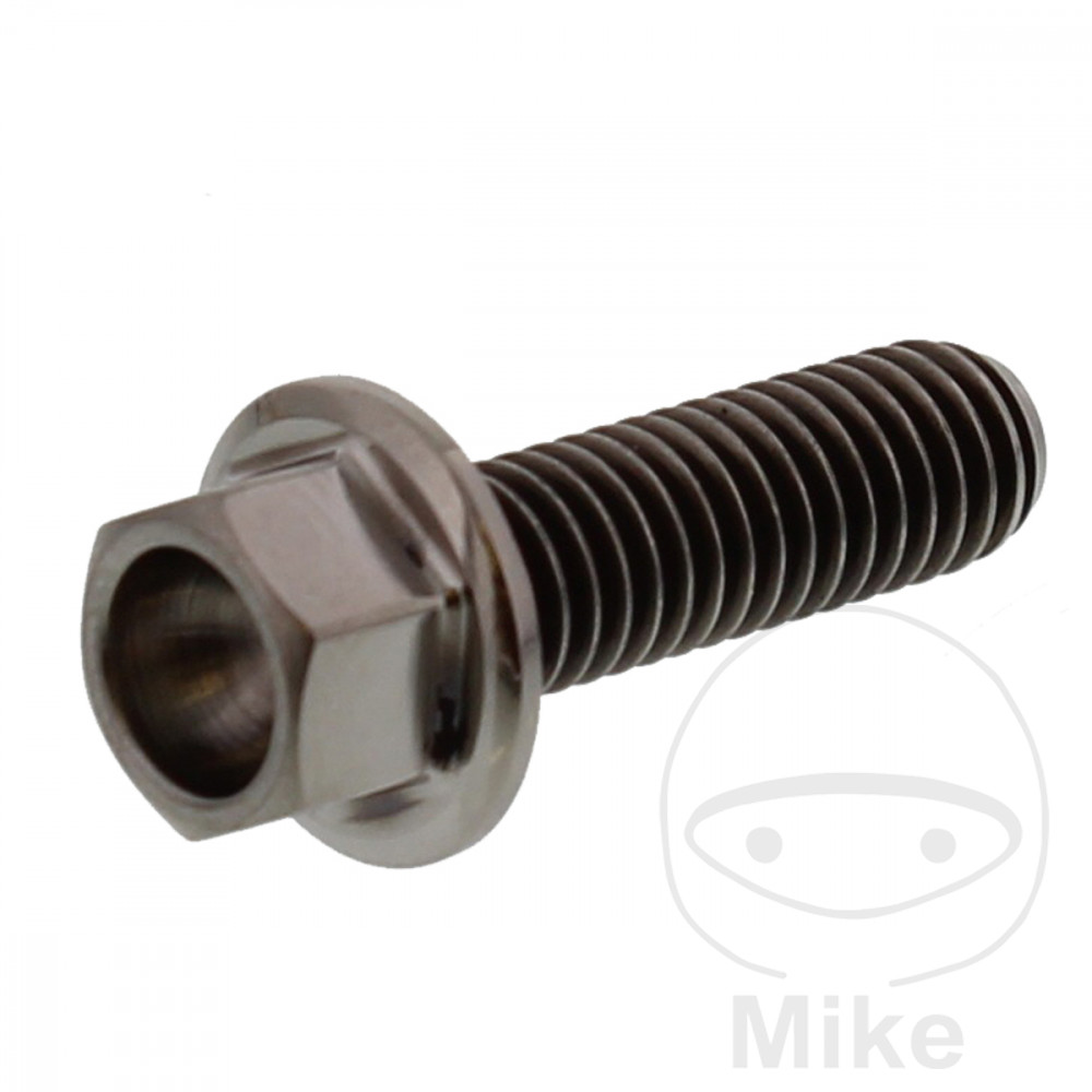 Levně JMP šroub šestihranný M6X1.00 20 mm Titan APRILIA ATLANTIC 125 10-12, RS 50 /REPLICA 06-10, RS 125 4T ABS 17-20, RS 125 4T ABS EURO4 21, RS 125